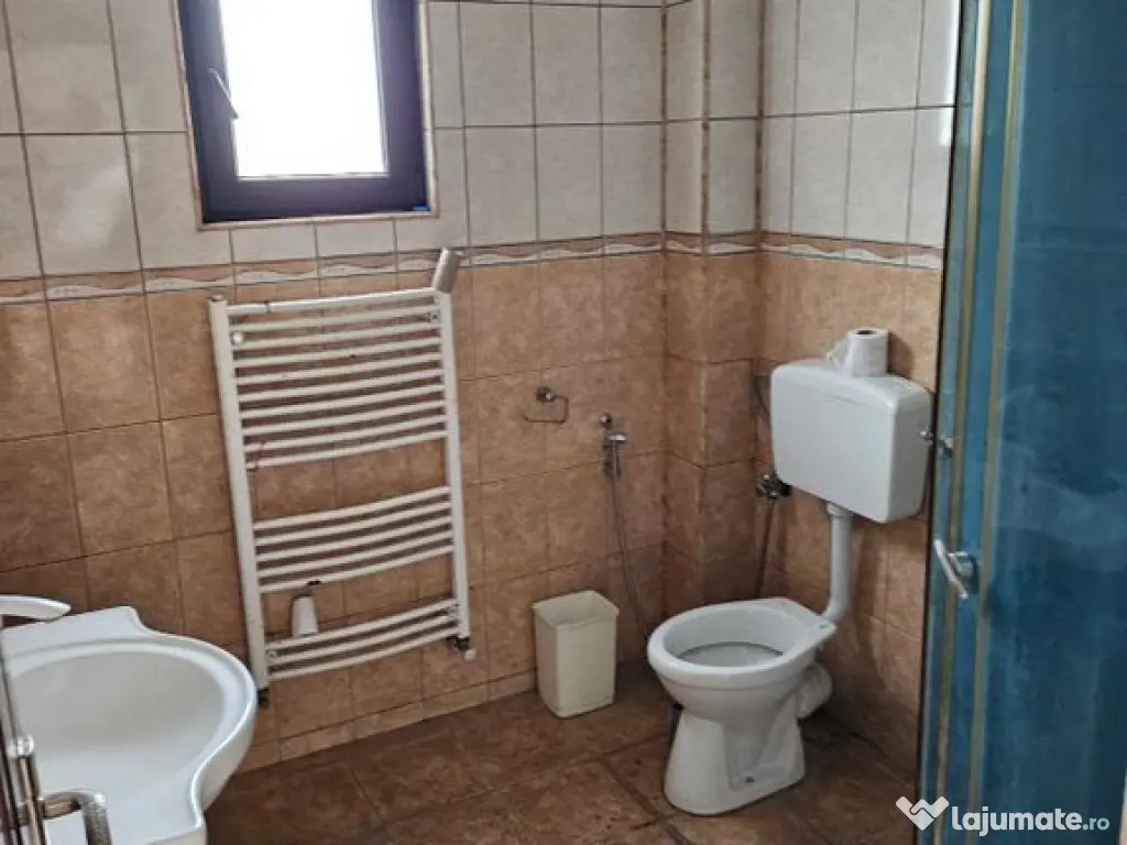 2 hale ( 1100 mp total ) hale Moara Domneasca - Doraly Af... 