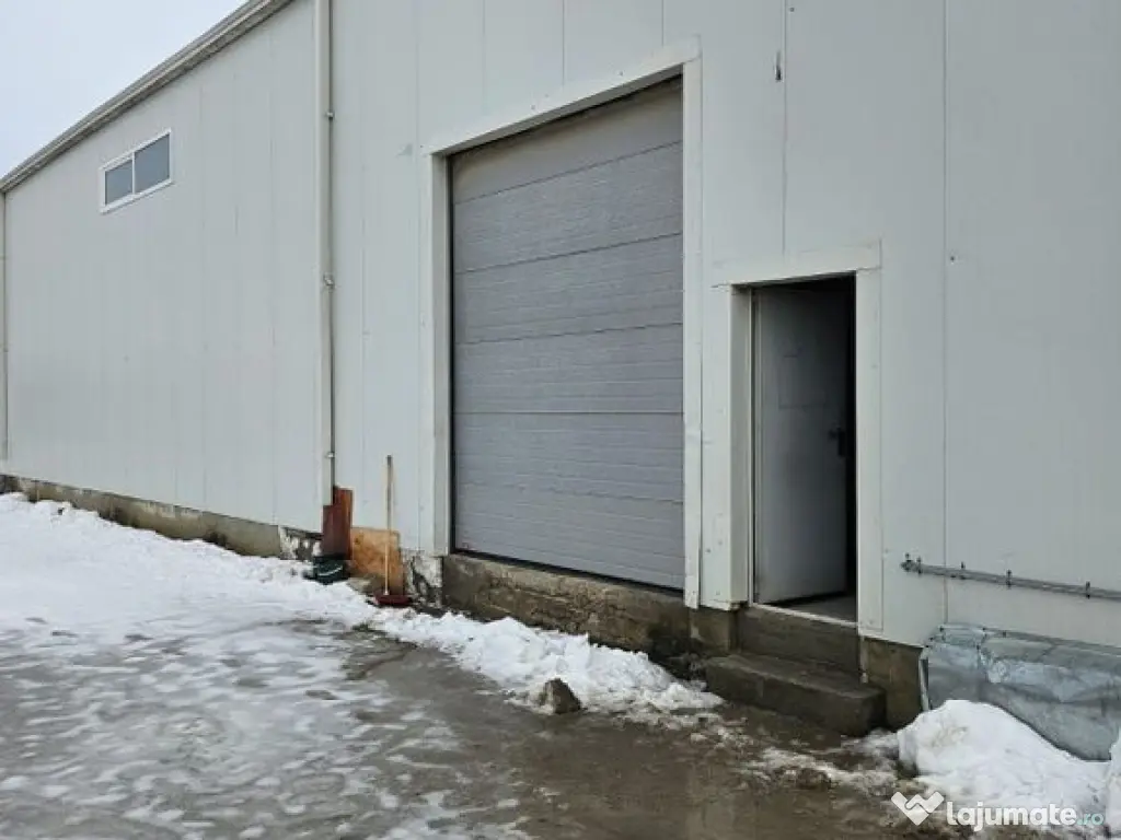 2 hale ( 1100 mp total ) hale Moara Domneasca - Doraly Af... 