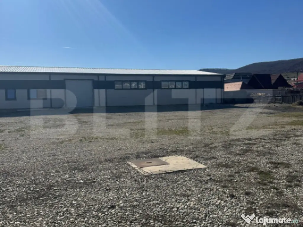Vanzare Hale industriale