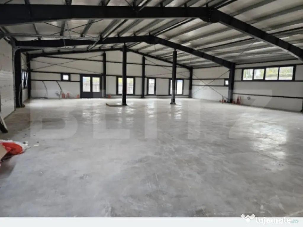 Vanzare Hale industriale