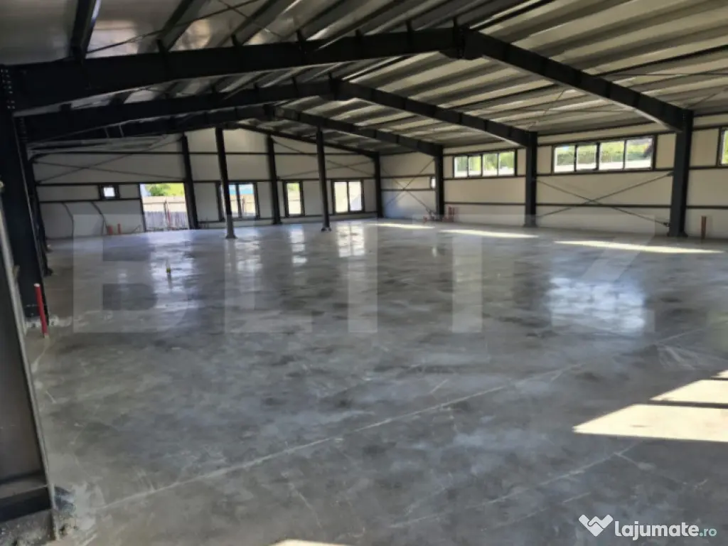 Vanzare Hale industriale