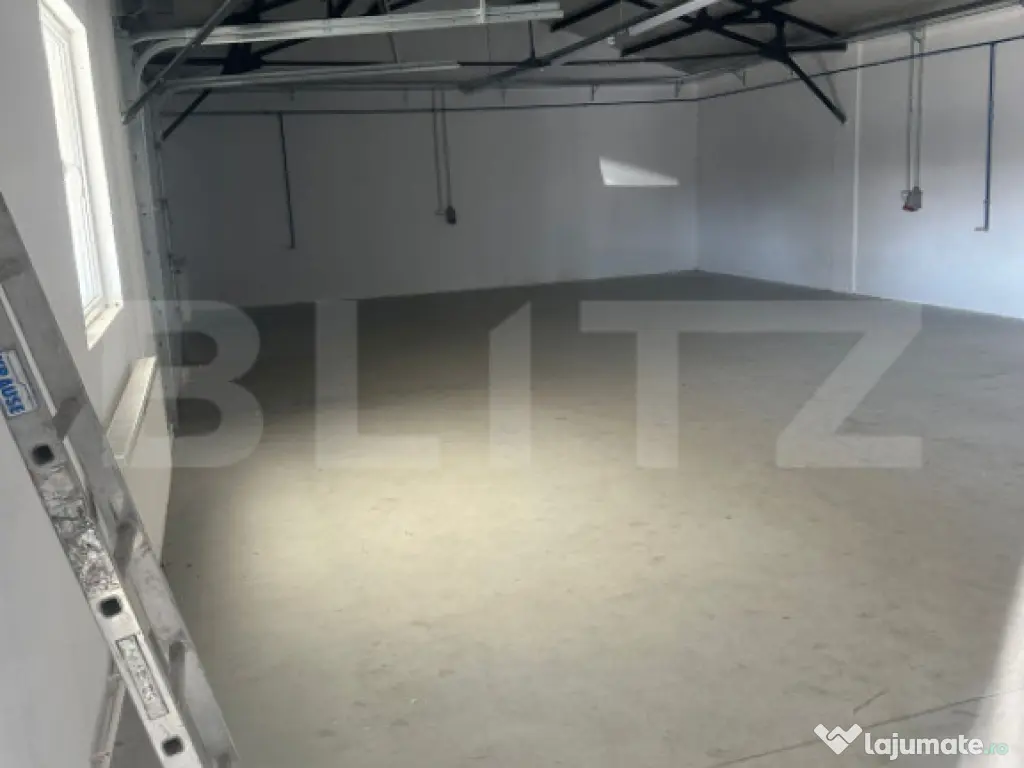 Vanzare Hale industriale