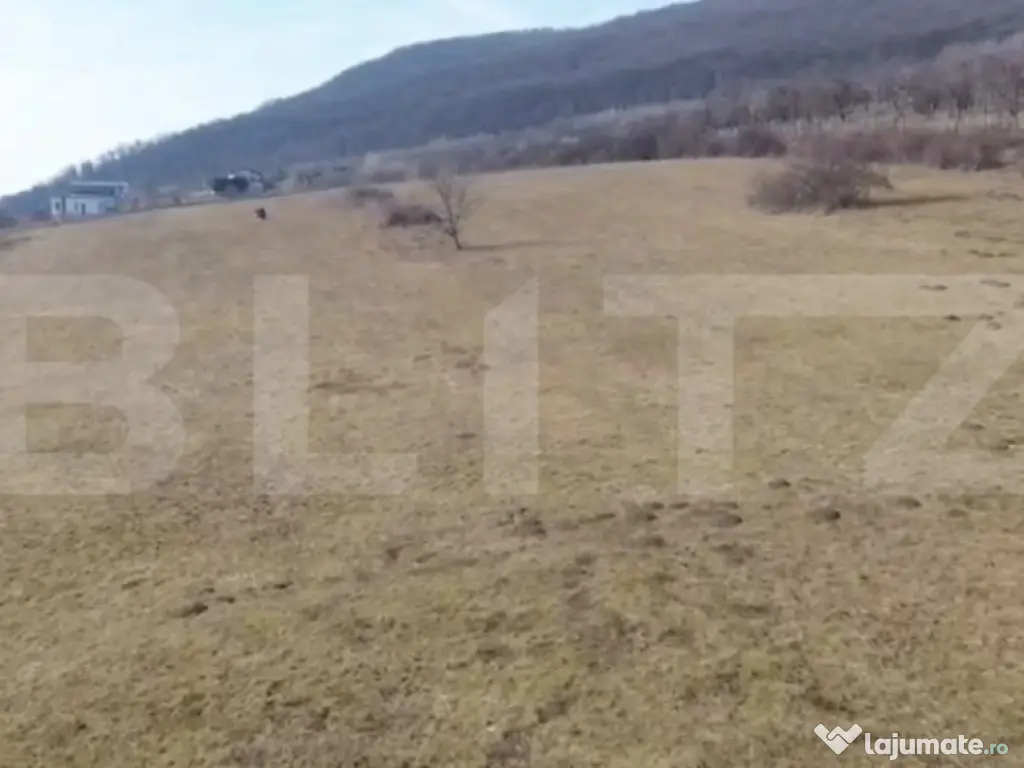 Teren intravilan 4.100 mp – Viisoara, lângă Metaller | O