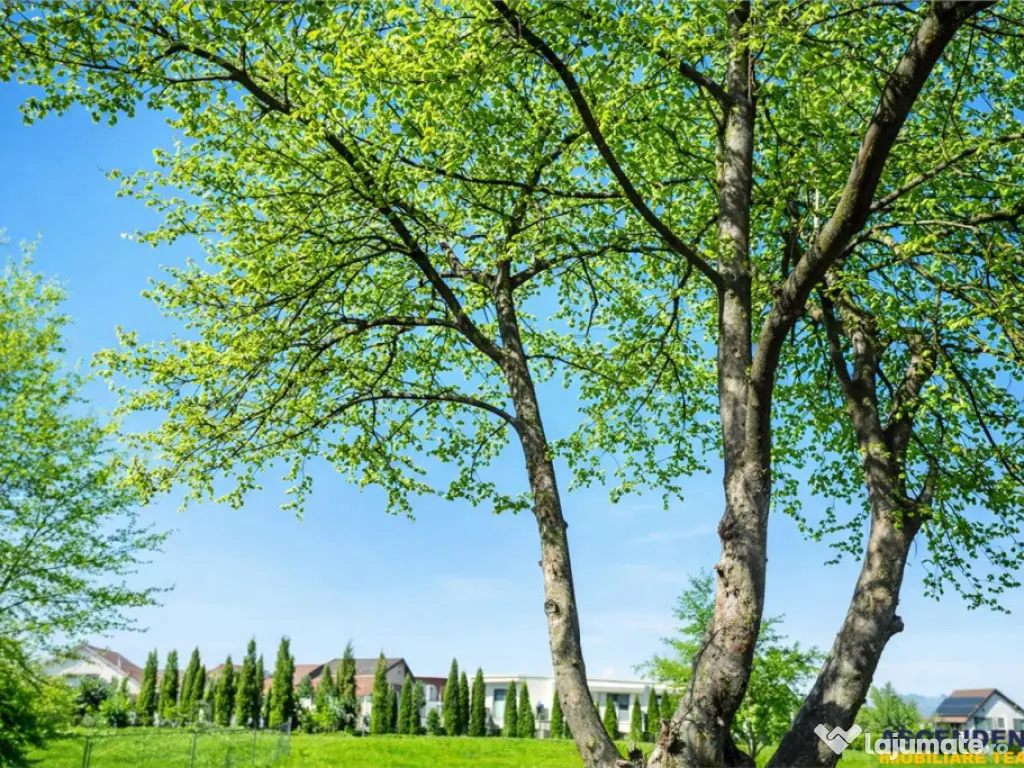 Casa moderna,mobilata,utilata,incalzire parsoseala:confort,l 