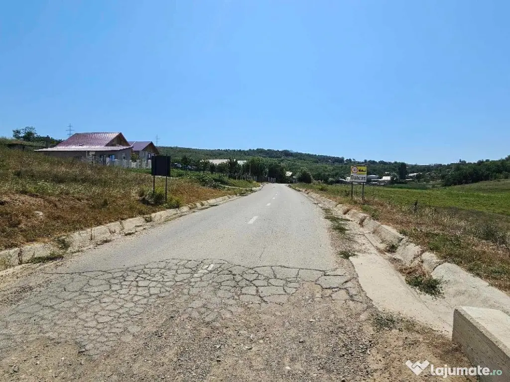 Teren 2.340mp, Dancas – Miroslava, 