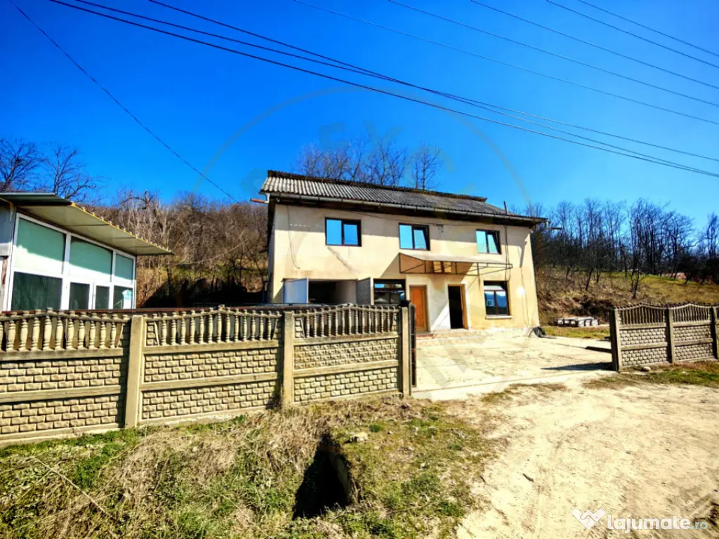 Casa spatiu comercial Arges Darmanesti 