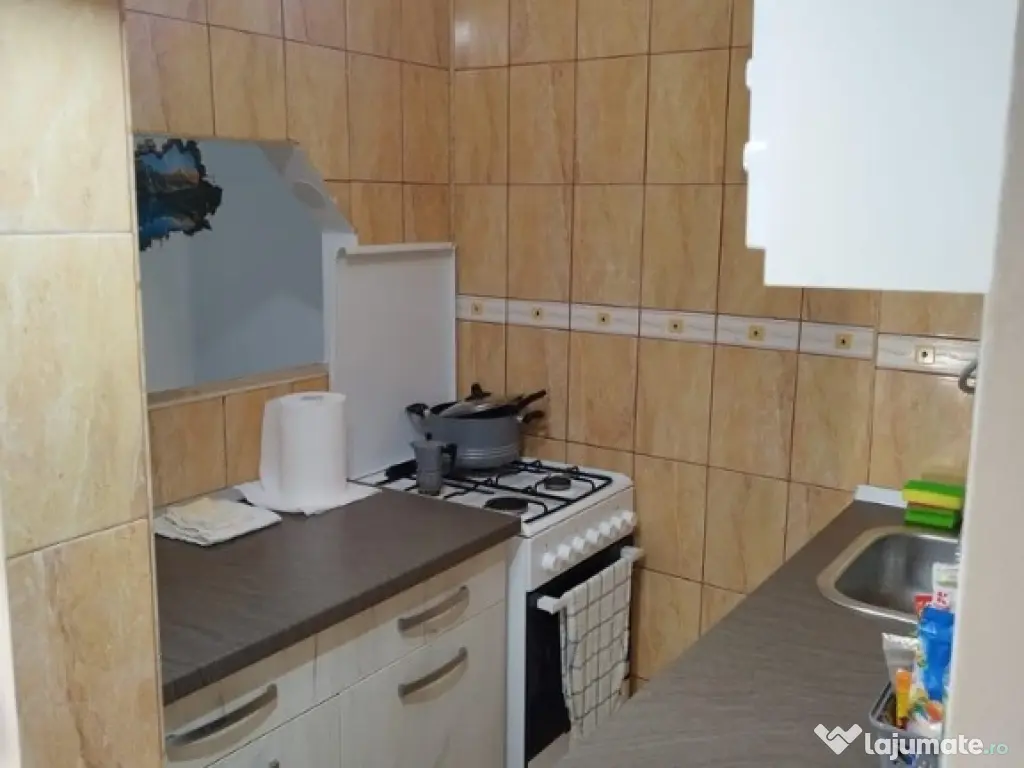 Garsoniera, 28mp., mobilata/utilata, Podu Ros 