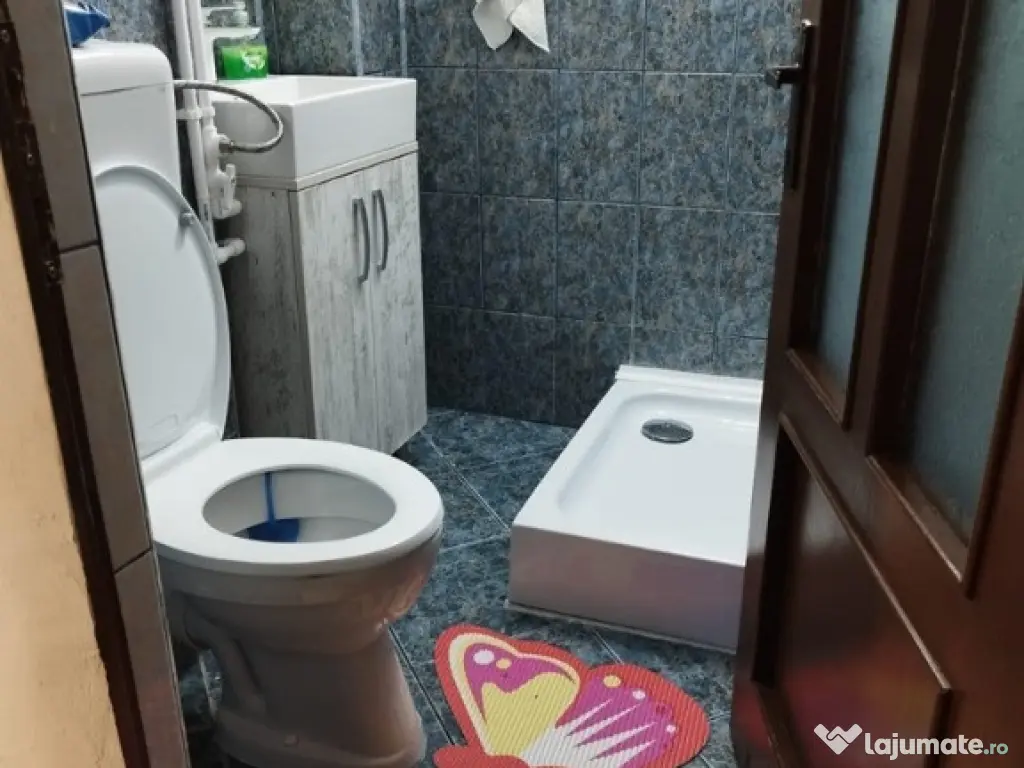 Garsoniera, 28mp., mobilata/utilata, Podu Ros 