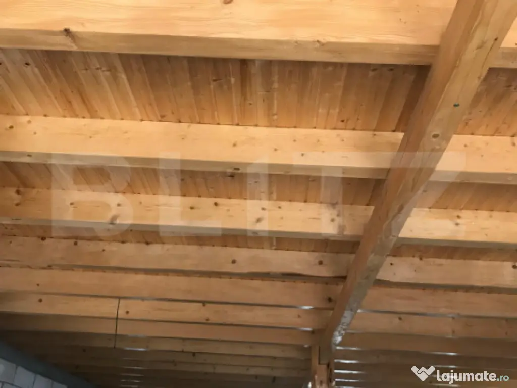 Casă (la rosu), Livadă și Pădure, Teren Generos și Plat