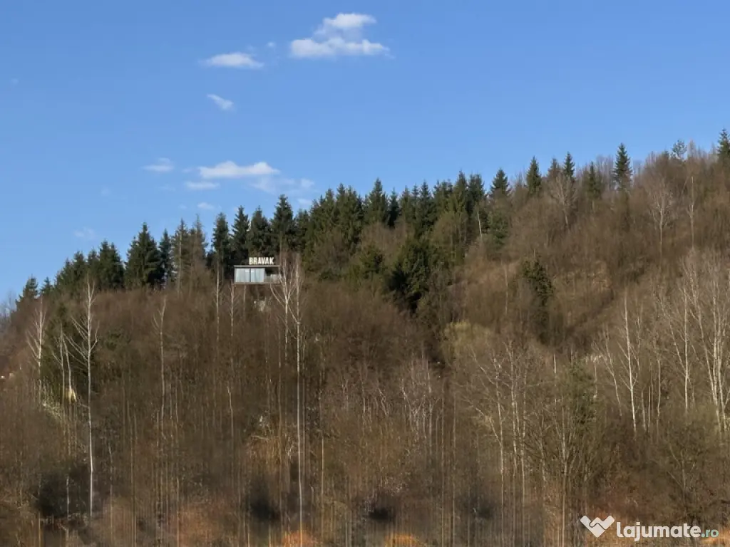 Teren intravilan, 25 ari, zona Firiza