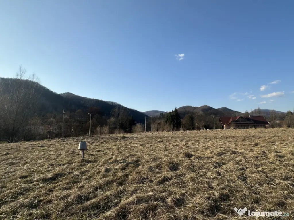 Teren intravilan, 25 ari, zona Firiza