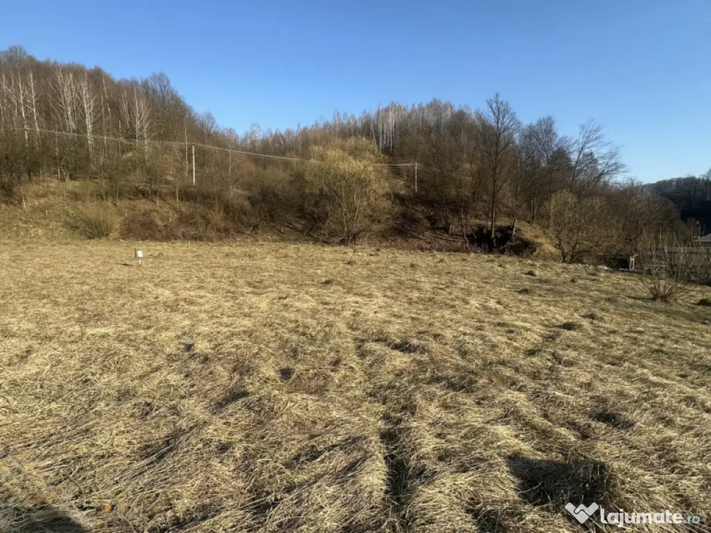 Teren intravilan, 25 ari, zona Firiza