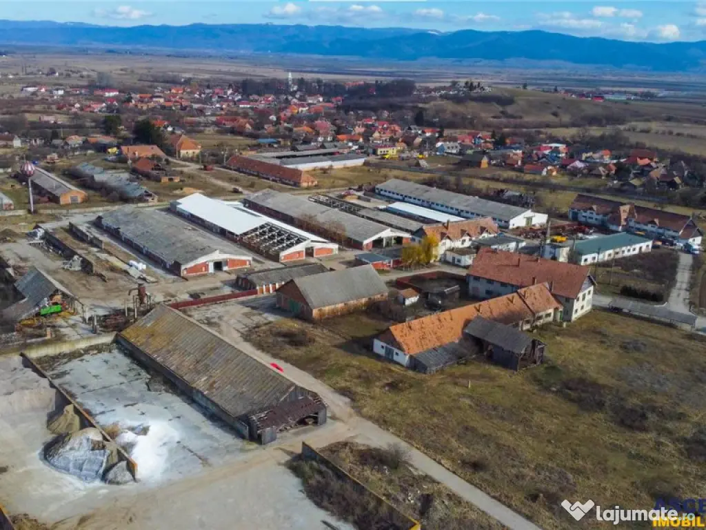 FILM! Complex agrozootehnic cu traditie, echipat pretios p 