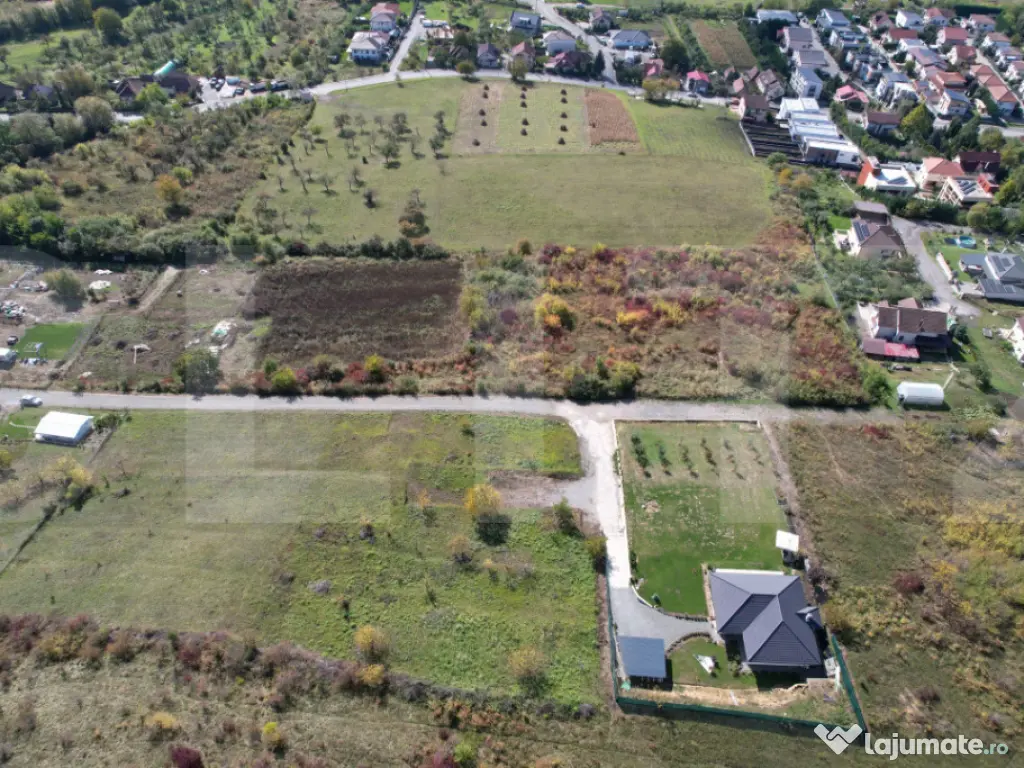 Oportunitate! Teren 6896 mp Borhanci – Zonă în Plină De