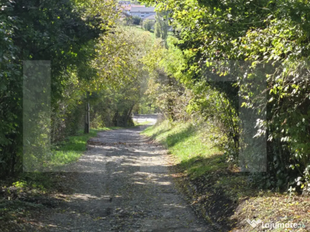 Oportunitate! Teren 6896 mp Borhanci – Zonă în Plină De