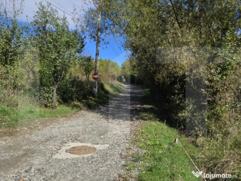 Oportunitate! Teren 6896 mp Borhanci – Zonă în Plină De