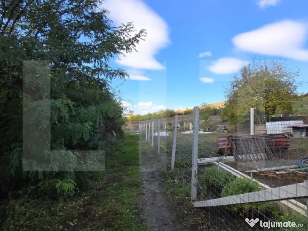 Oportunitate! Teren 6896 mp Borhanci – Zonă în Plină De