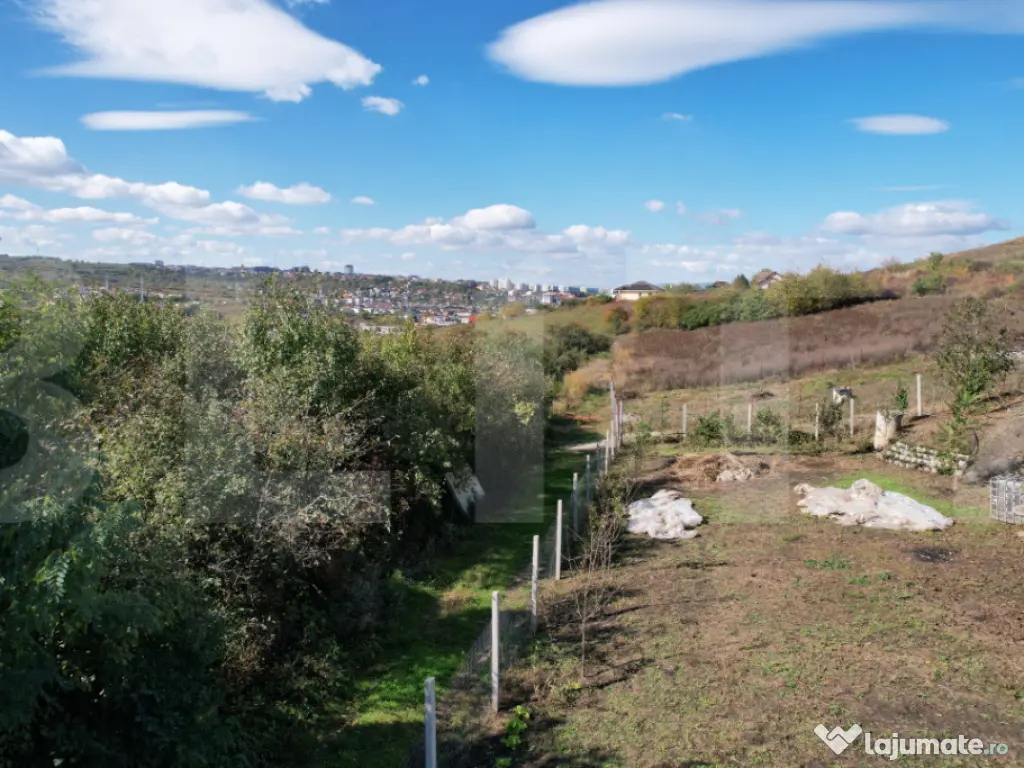 Oportunitate! Teren 6896 mp Borhanci – Zonă în Plină De