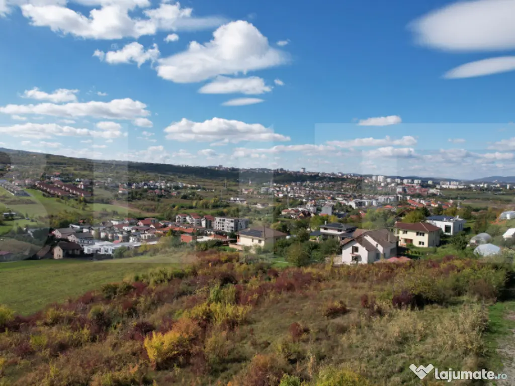 Oportunitate! Teren 6896 mp Borhanci – Zonă în Plină De