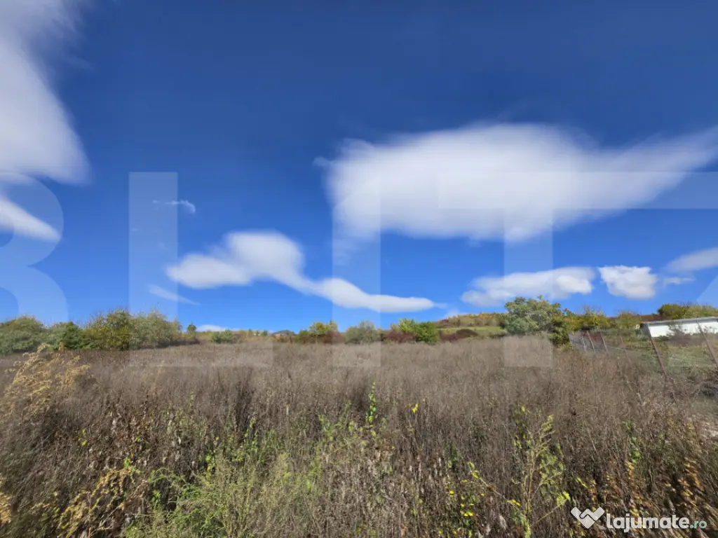 Oportunitate! Teren 6896 mp Borhanci – Zonă în Plină De