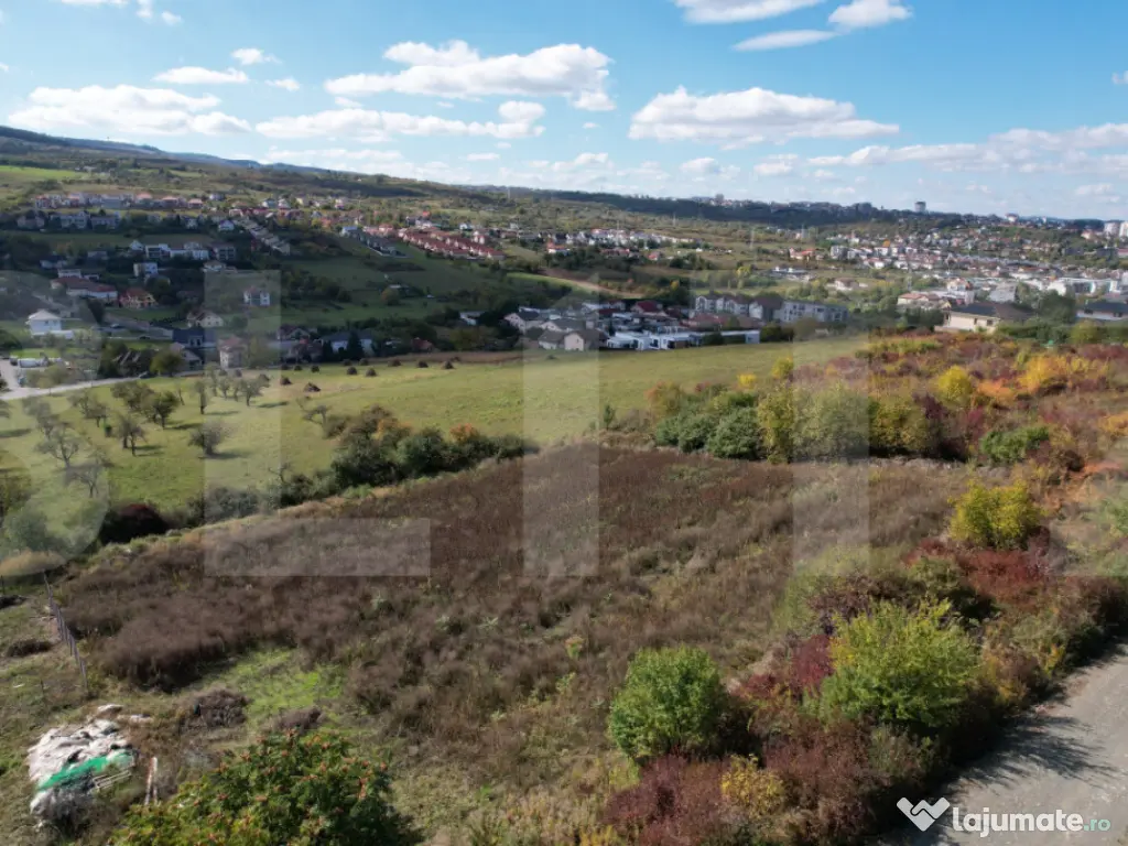 Oportunitate! Teren 6896 mp Borhanci – Zonă în Plină De