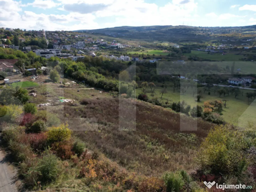 Oportunitate! Teren 6896 mp Borhanci – Zonă în Plină De