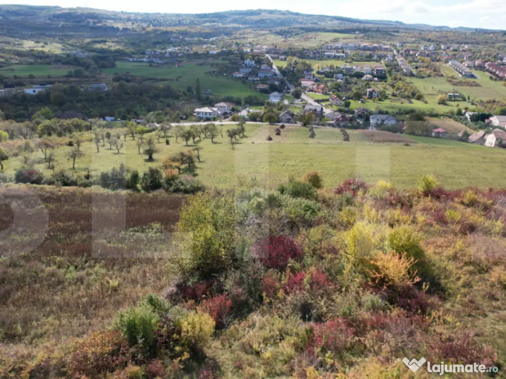 Oportunitate! Teren 6896 mp Borhanci – Zonă în Plină De