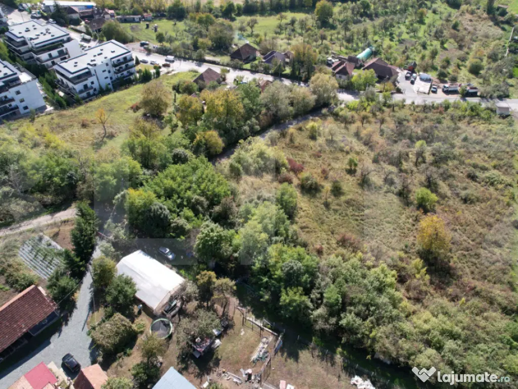 Oportunitate! Teren 6896 mp Borhanci – Zonă în Plină De