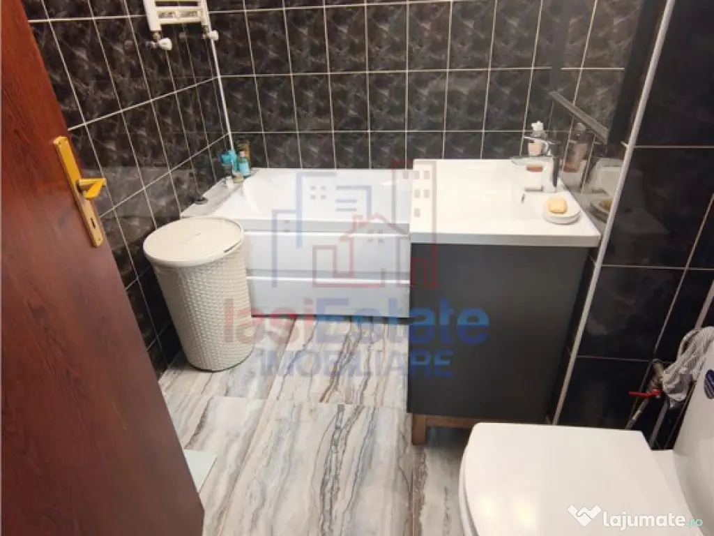 Apartament 1 camera Gara - Scoala Barsanescu 