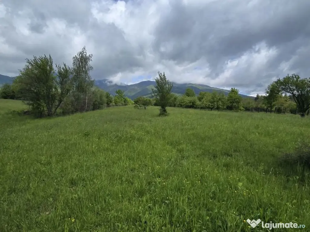 Teren intravilan - 2 minute de centru Prundu Bargaului - ... 