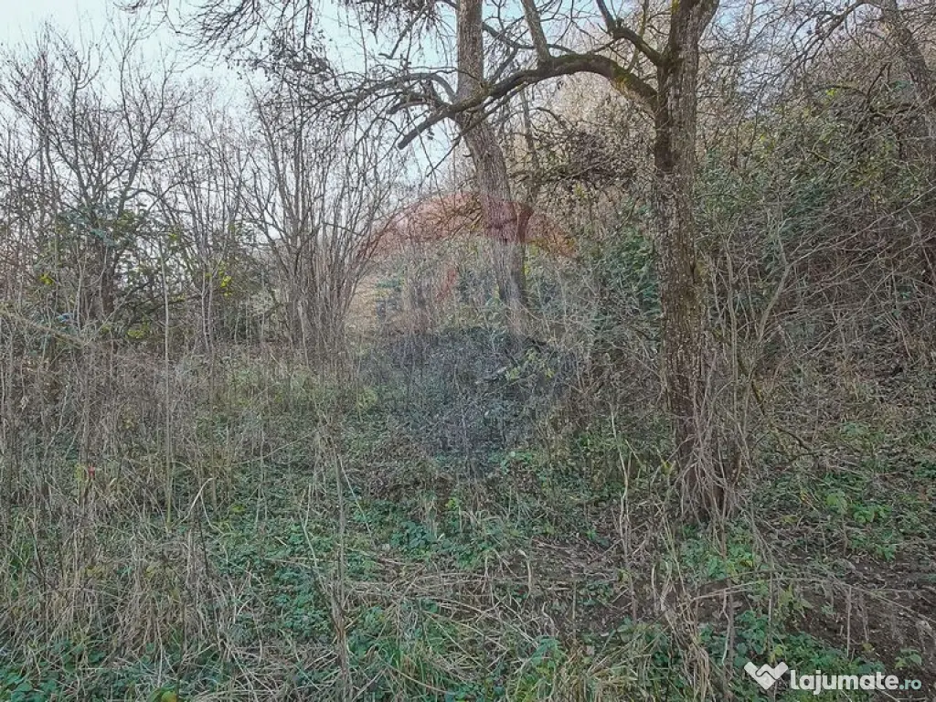 Comision 0! Casă cu teren de 1000mp in inima Brasovului 