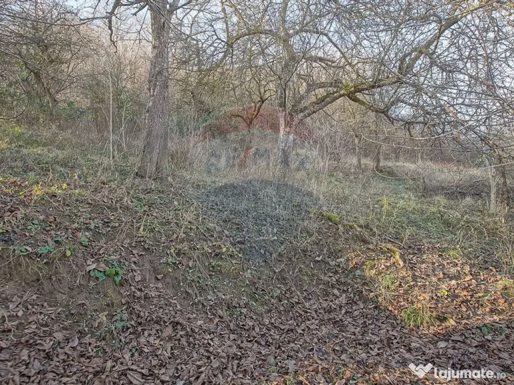 Comision 0! Casă cu teren de 1000mp in inima Brasovului 