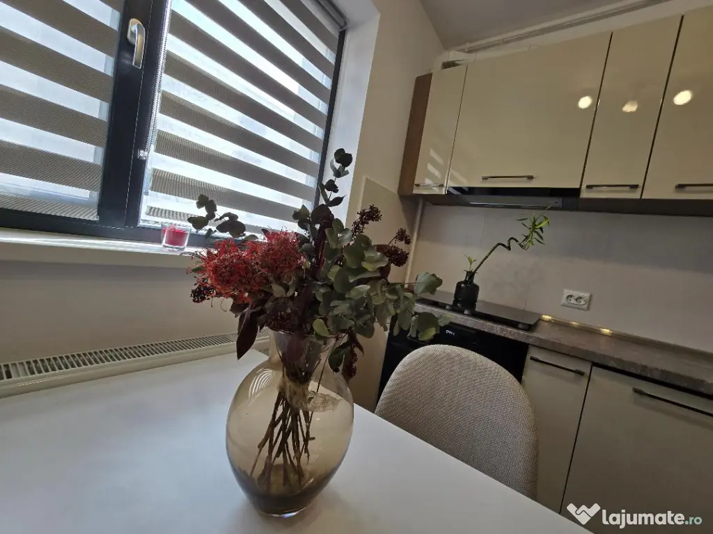 Inchiriez apartament 2 camere Hils Pallady 