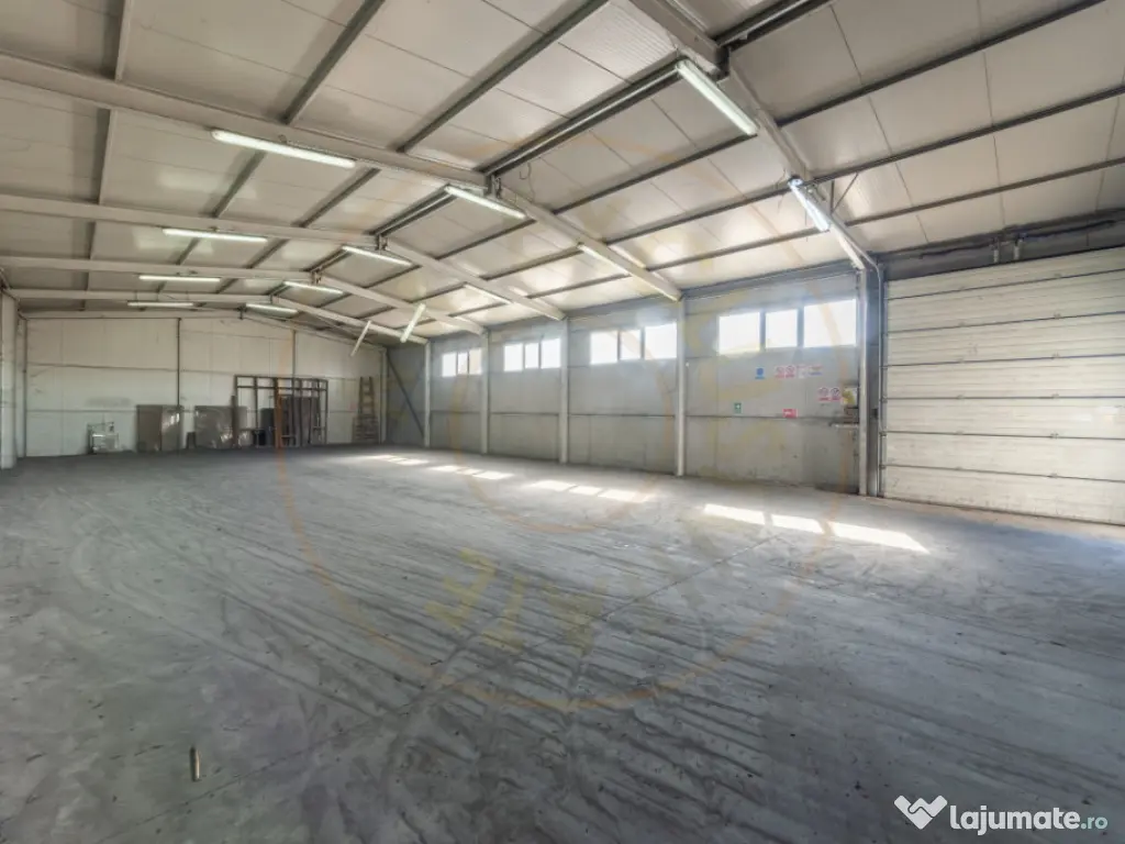 Hale & Birouri Mărăcineni - 1.294 mp - Deschidere la DN 