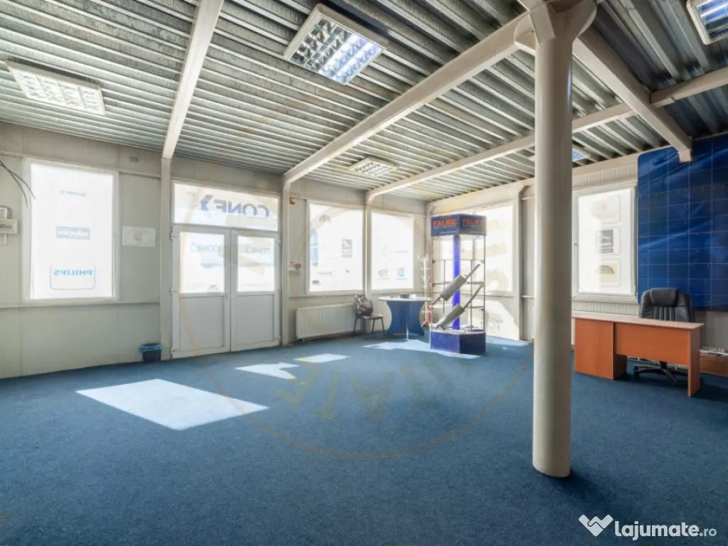 Hale & Birouri Mărăcineni - 1.294 mp - Deschidere la DN 