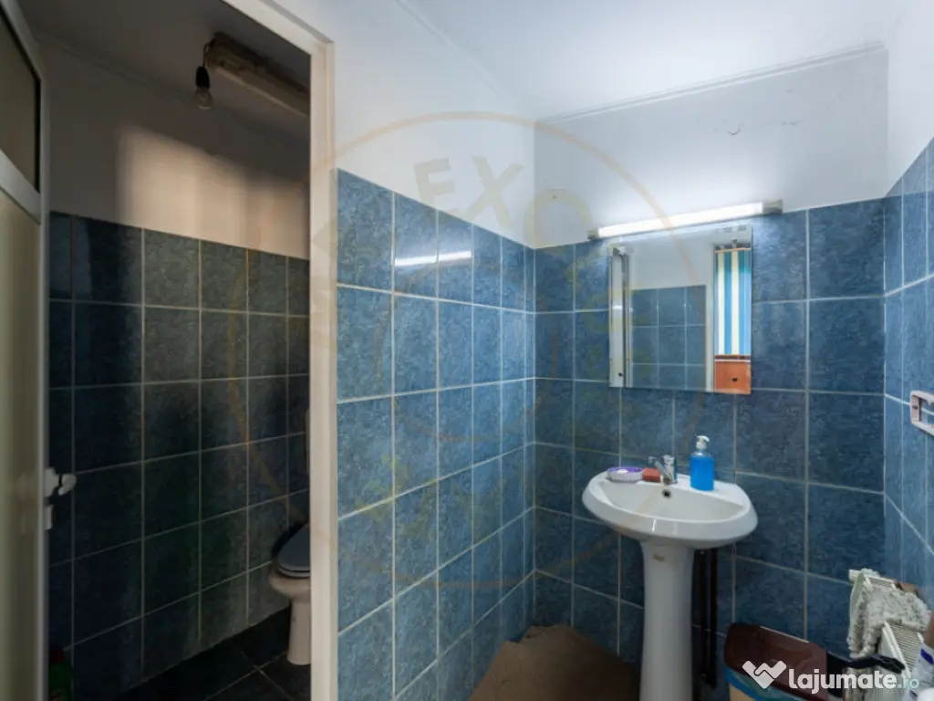 Hale & Birouri Mărăcineni - 1.294 mp - Deschidere la DN 