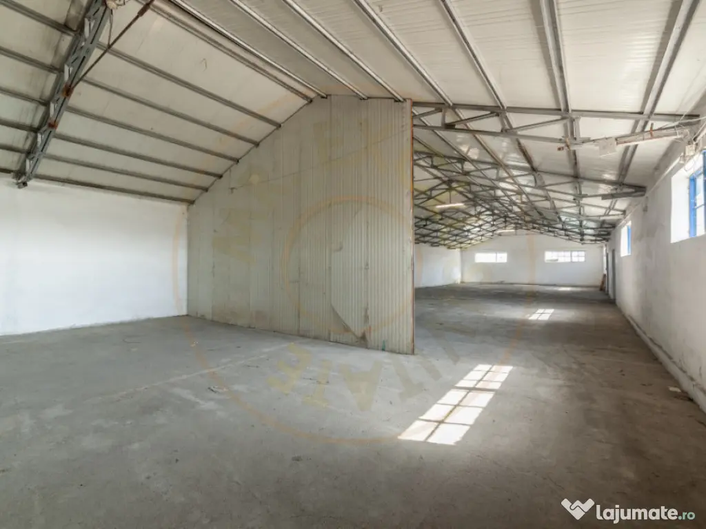 Hale & Birouri Mărăcineni - 1.294 mp - Deschidere la DN 