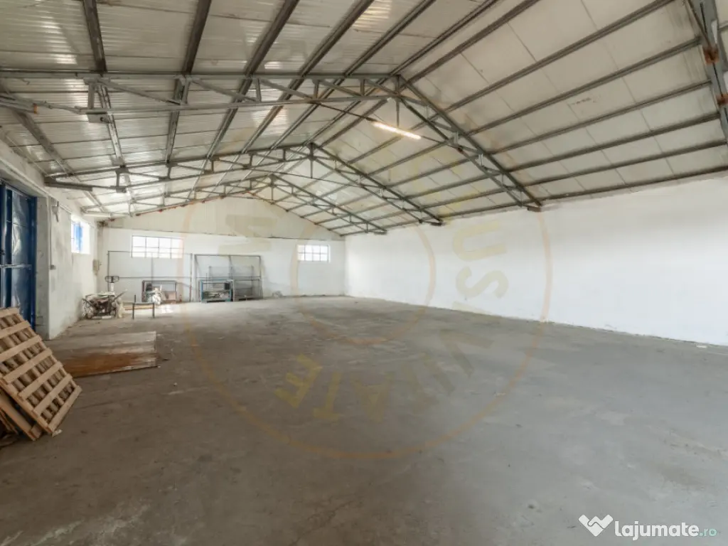 Hale & Birouri Mărăcineni - 1.294 mp - Deschidere la DN 