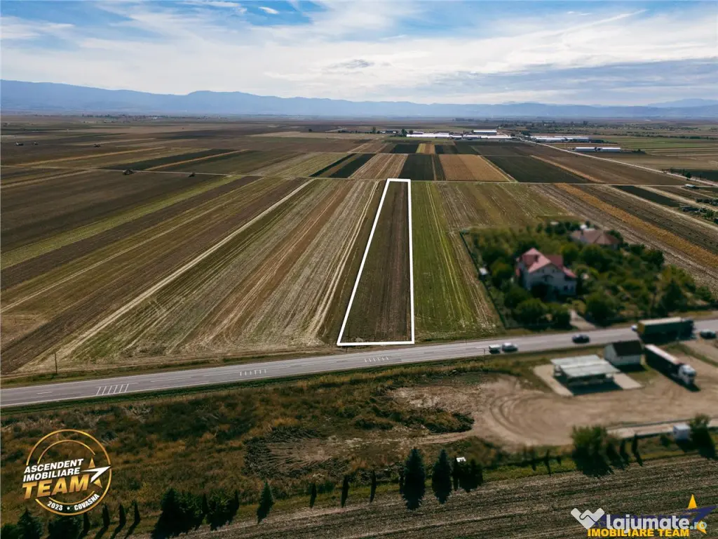 FILM! Teren intravilan 7.500 mp, deschidere dubla, DN11 (E57 