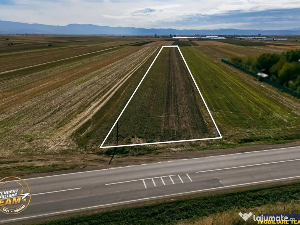 FILM! Teren intravilan 7.500 mp, deschidere dubla, DN11 (E57 