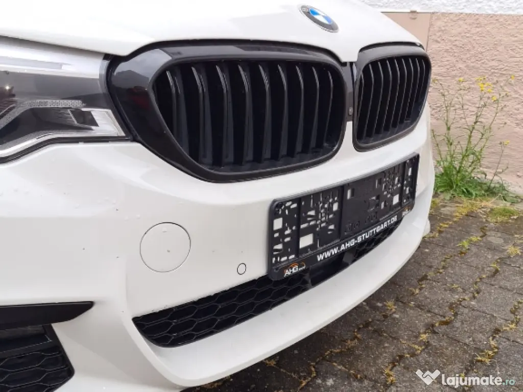 Boboci de rață mulard 