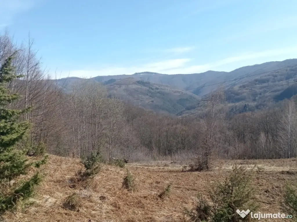 Teren 1-5 Ha Muntele Găina (Luncșoara, Arad) – Pădure & Pășune