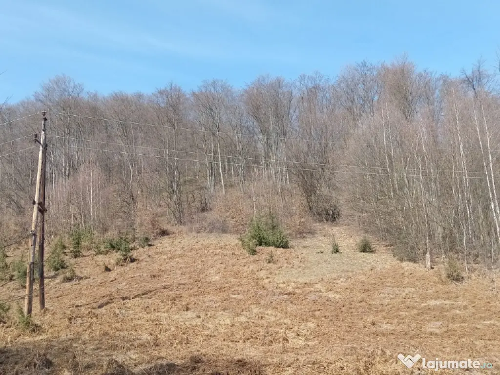 Teren 1-5 Ha Muntele Găina (Luncșoara, Arad) – Pădure & Pășune