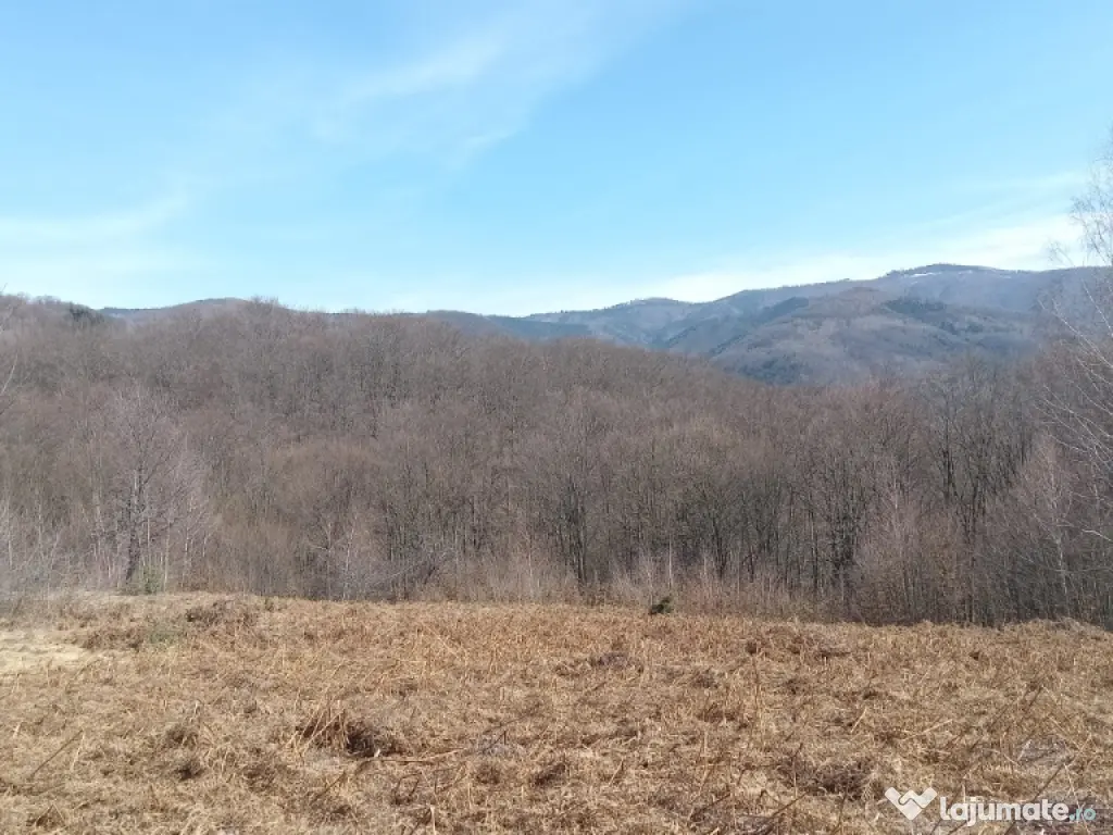 Teren 1-5 Ha Muntele Găina (Luncșoara, Arad) – Pădure & Pășune