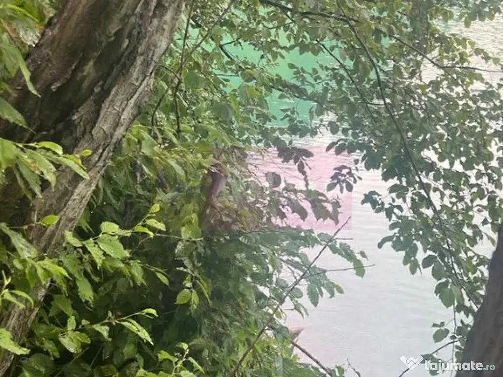 Teren cu deschidere la lac – Valea Doftanei, Prahova 