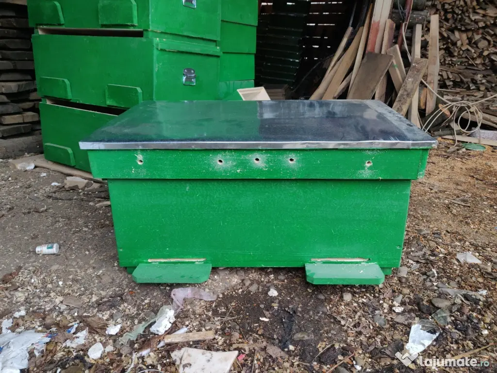 Vand stupi noi, rame, caturi!!! 