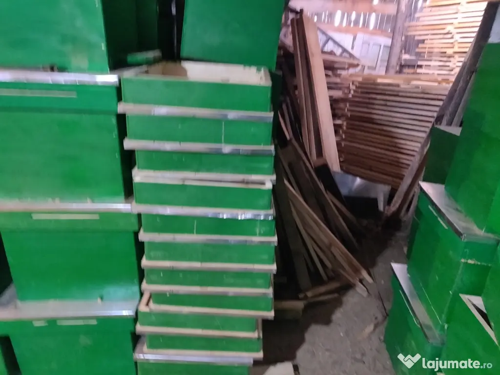 Vand stupi noi, rame, caturi!!! 