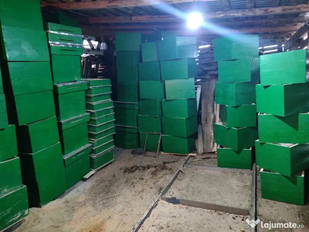 Vand stupi noi, rame, caturi!!! 