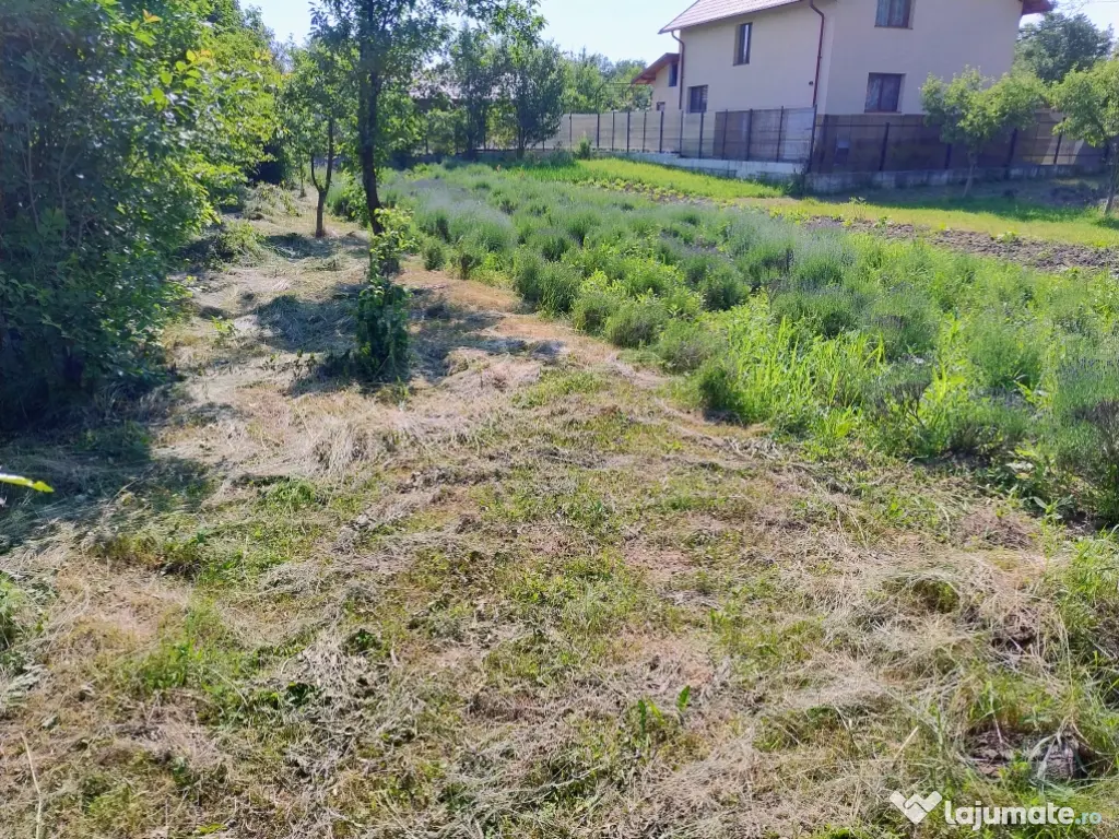 Teren în Vălenii de Munte