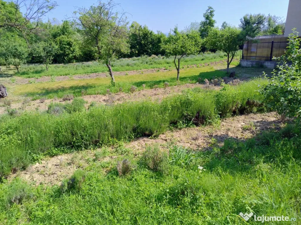 Teren în Vălenii de Munte